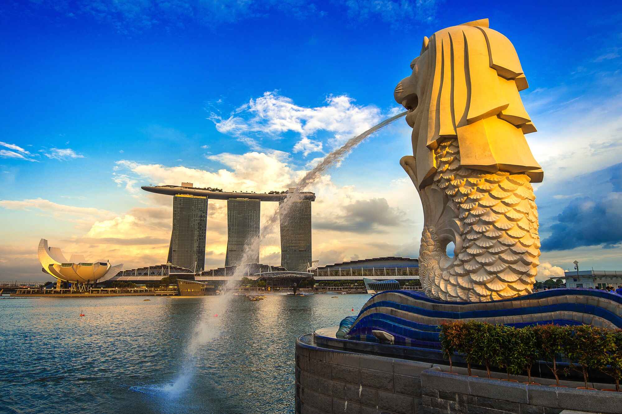 Skyscraper-and-park-of -singapore 